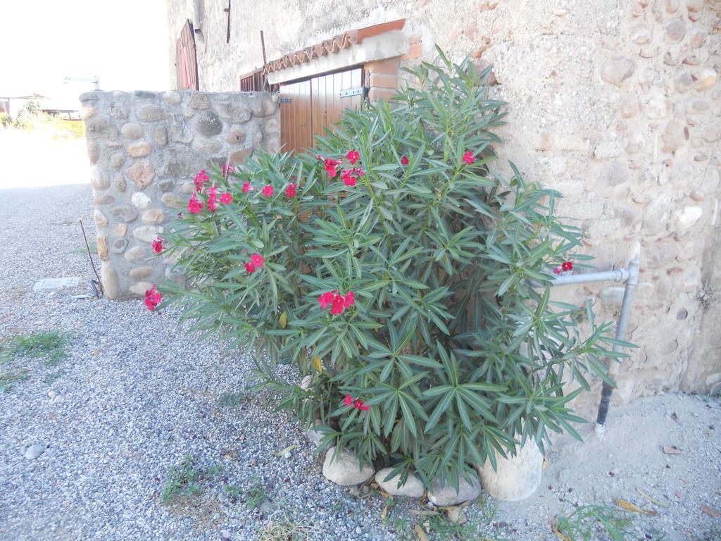 발레지오술민쵸 Agriturismo Le Mura Del Gherlo 빌라 외부 사진